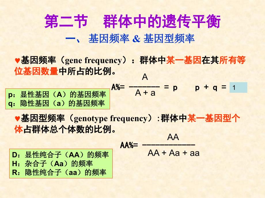 群体遗传学PPT课件.ppt_第3页