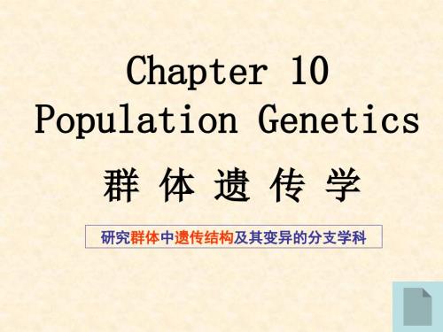 群体遗传学PPT课件.ppt