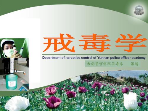 禁毒戒毒学课件.ppt