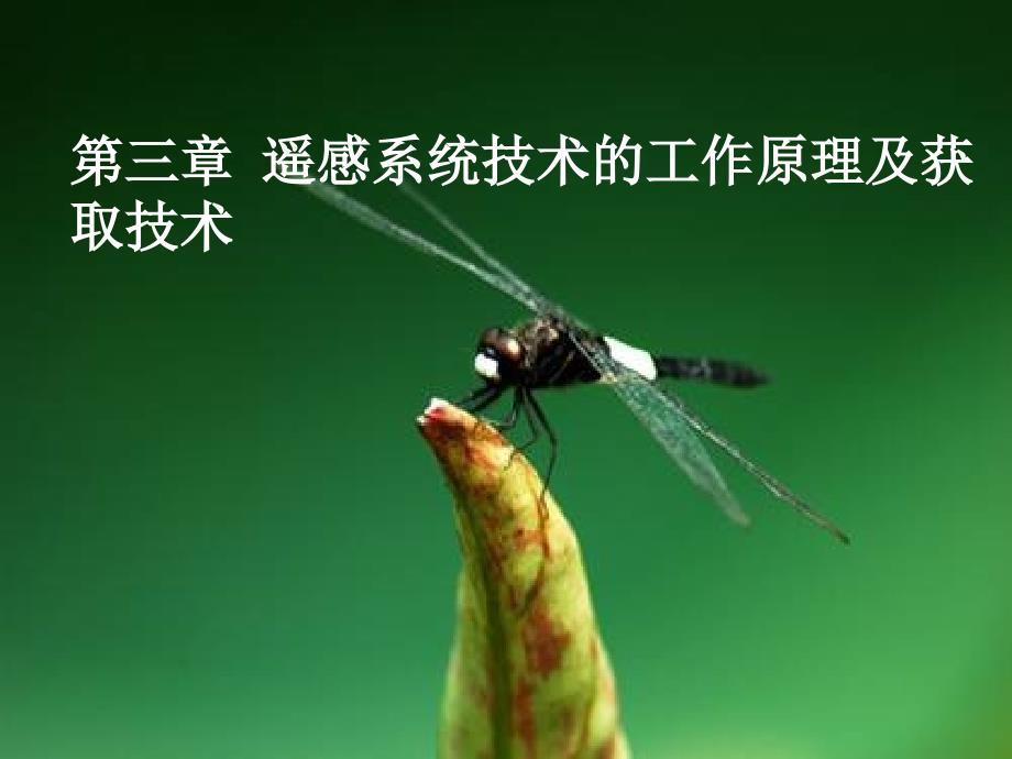 遥感技术PPT课件.ppt_第1页
