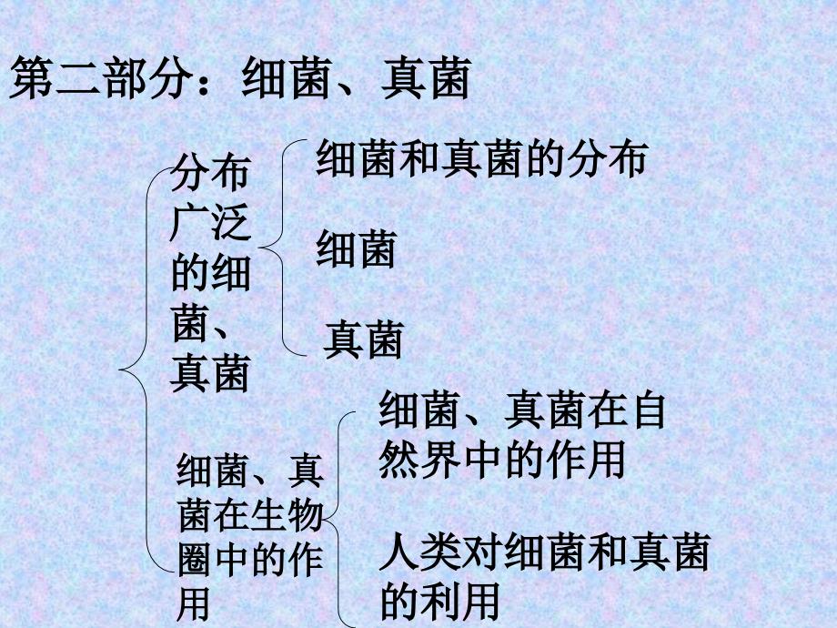 细菌和真菌PPT课件.ppt_第2页