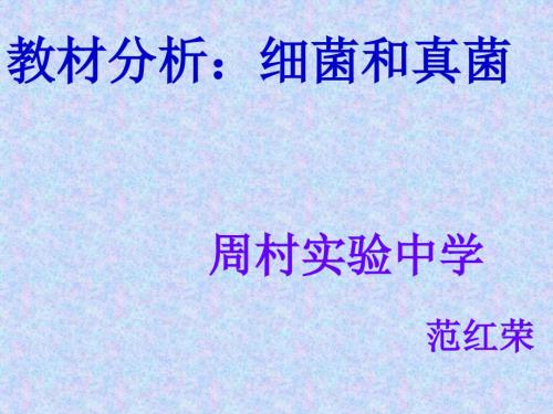 细菌和真菌PPT课件.ppt