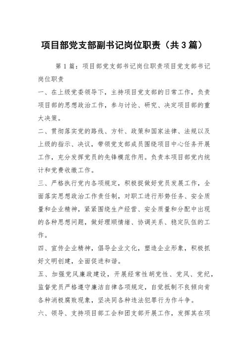 项目部党支部副书记岗位职责共3篇.docx