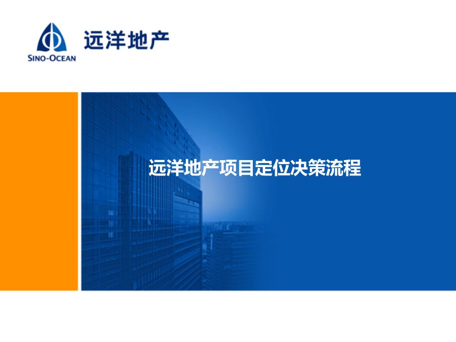 远洋地产项目定位决策流程说明.pptx_第1页