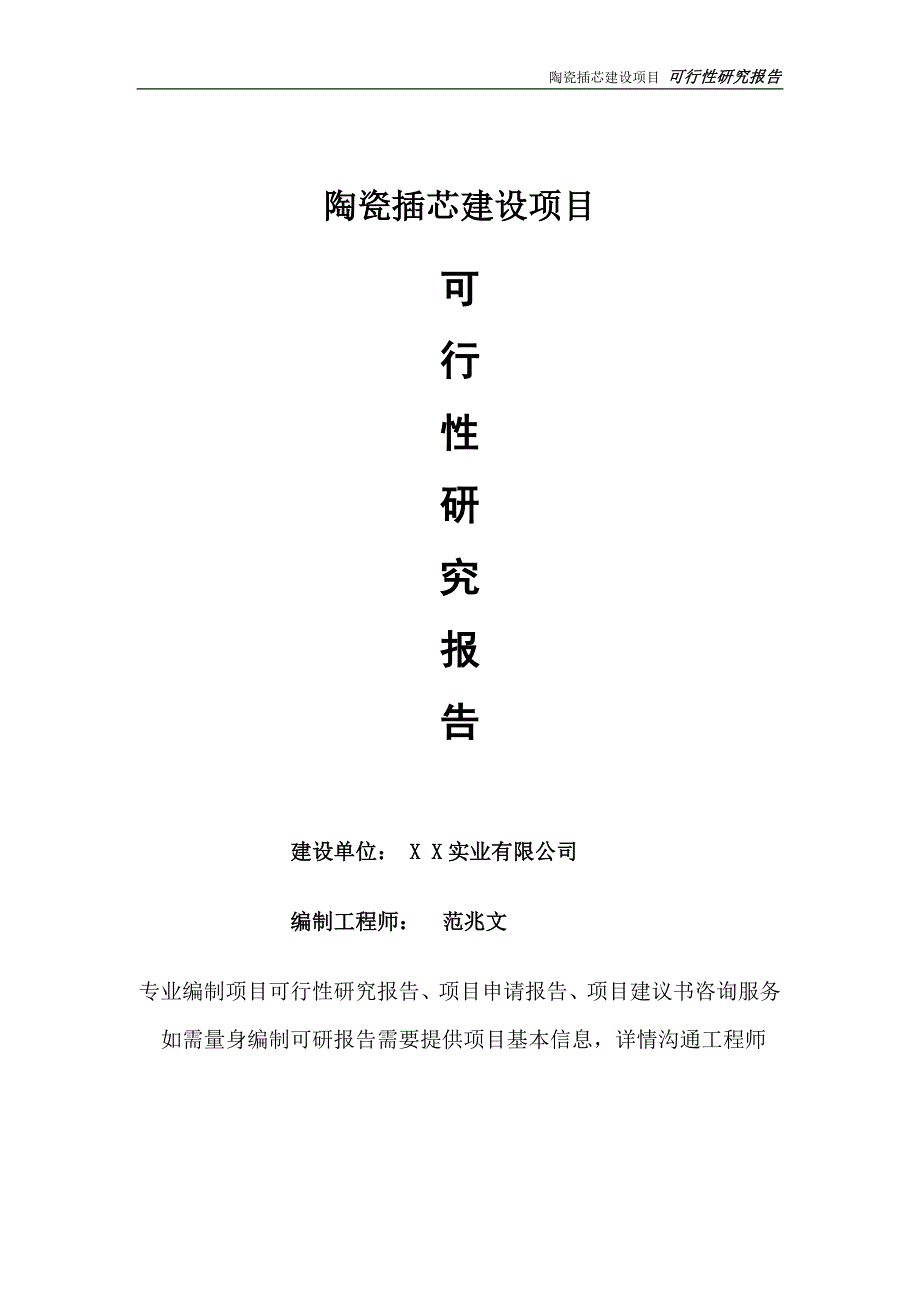 陶瓷插芯项目可行性研究报告完整可修改版.doc_第1页