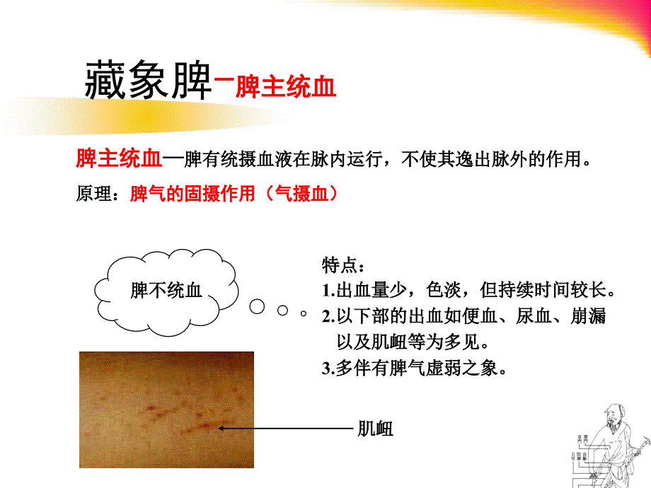 脾主统血广东中医药大学中医学.ppt_第1页