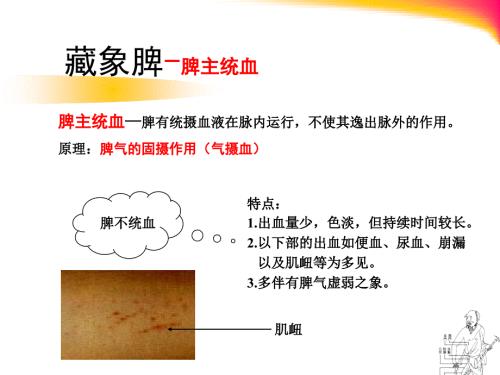 脾主统血广东中医药大学中医学.ppt
