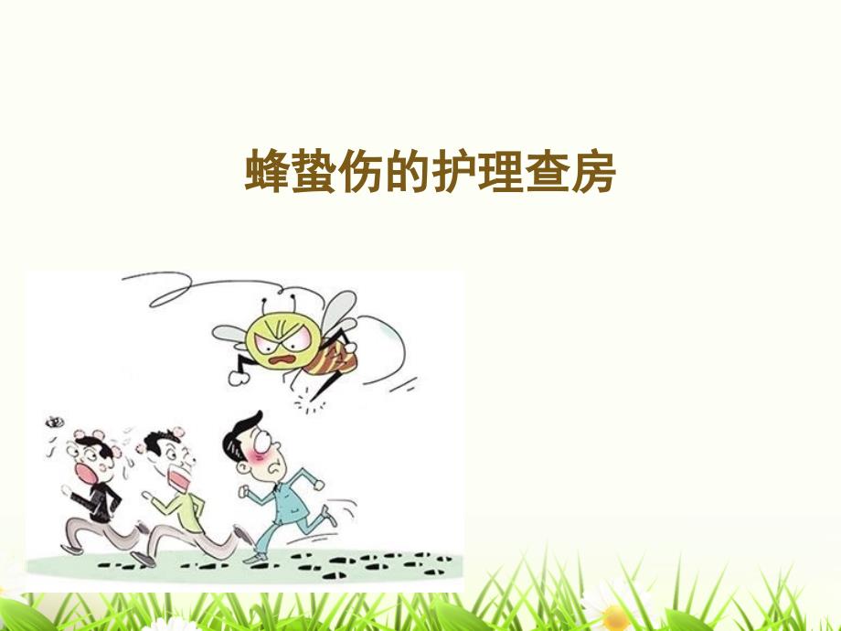 蜂蛰伤的护理查房.pptx_第1页