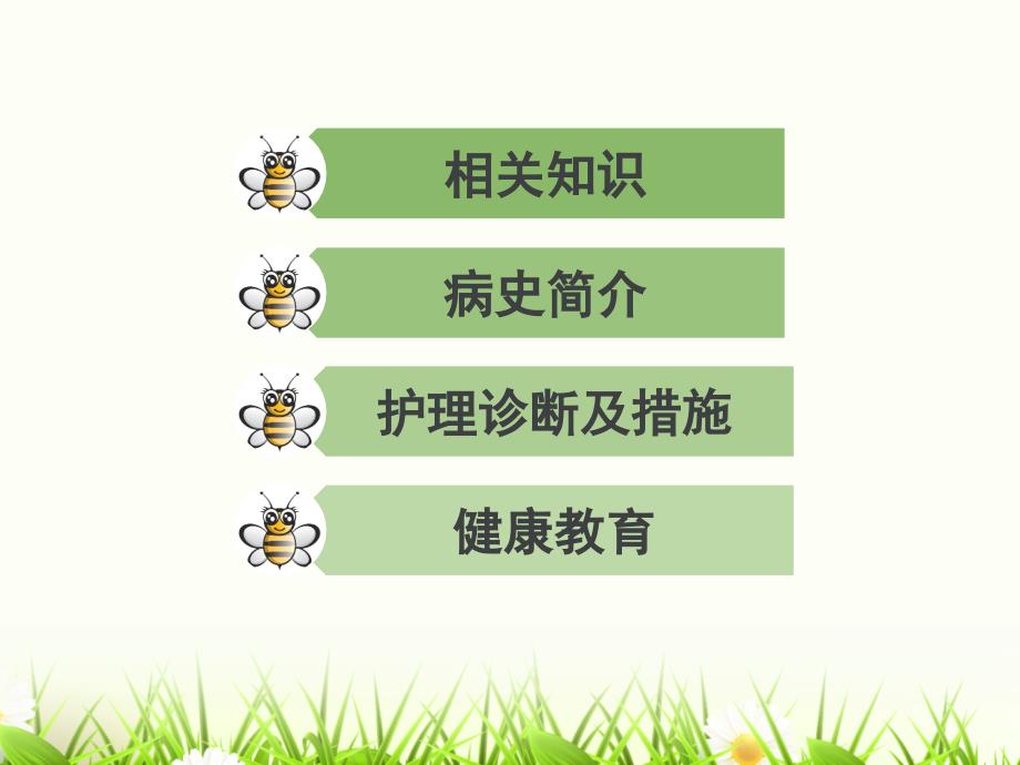 蜂蛰伤的护理查房.pptx_第2页