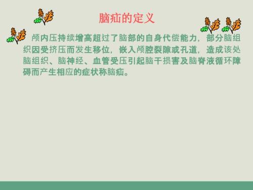 脑疝护理查房.ppt