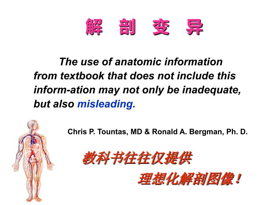 超声引导上肢神经阻滞ppt课件.ppt_第3页