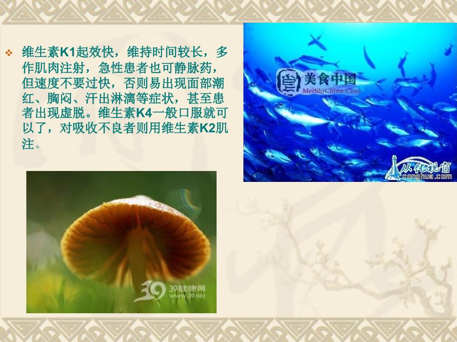 维生素KPPT课件.ppt_第2页