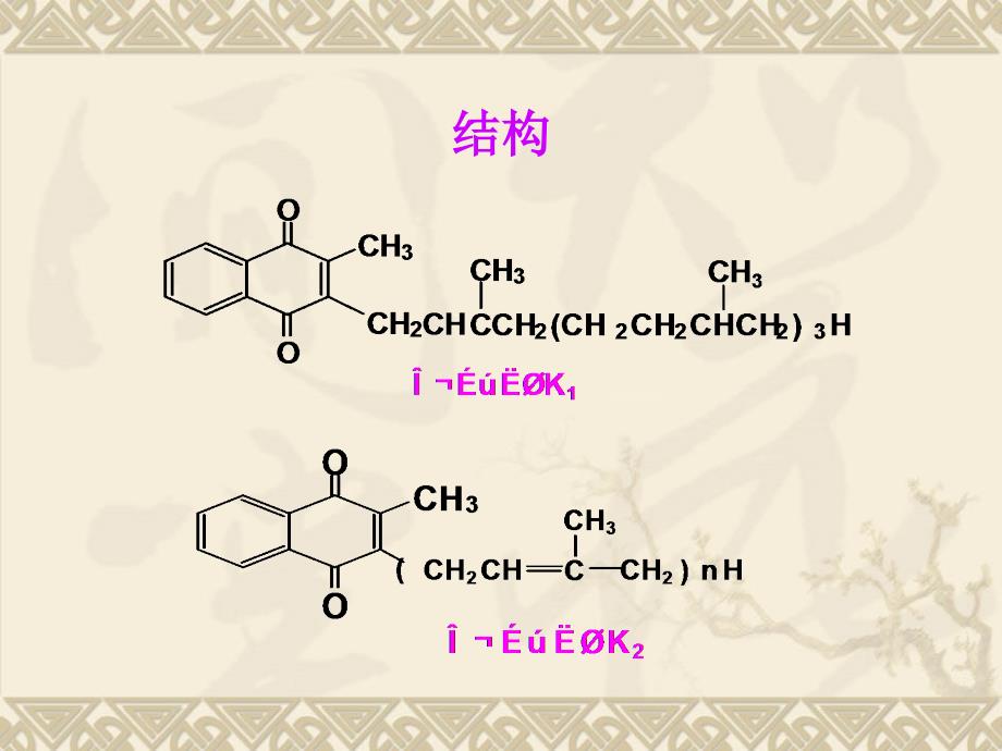 维生素KPPT课件.ppt_第3页