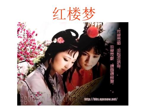 红楼梦之林黛玉PPT课件.ppt