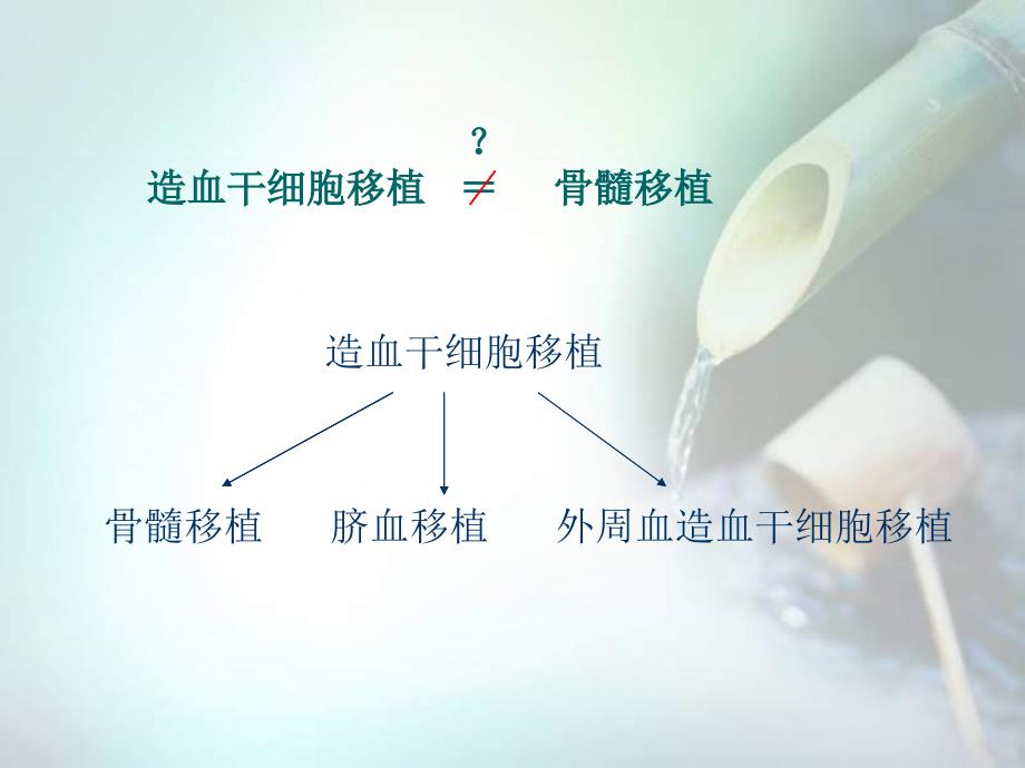 造血干细胞移植及护理.ppt_第3页
