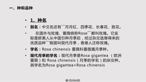 设施花卉栽培月季PPT课件.pptx