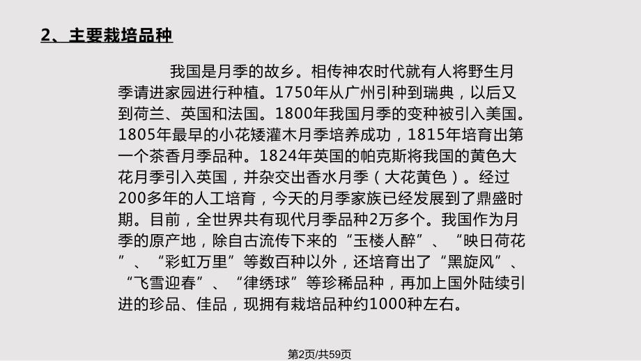 设施花卉栽培月季PPT课件.pptx_第2页