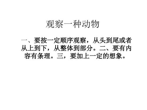 观察一种动物PPT课件.ppt