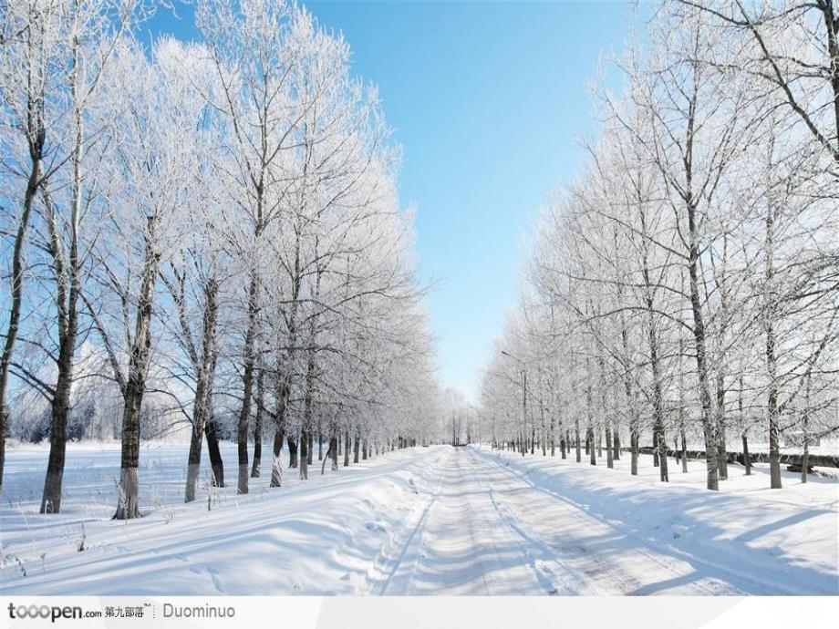 苏少版音乐二上第八单元小雪花ppt课件1.ppt_第3页