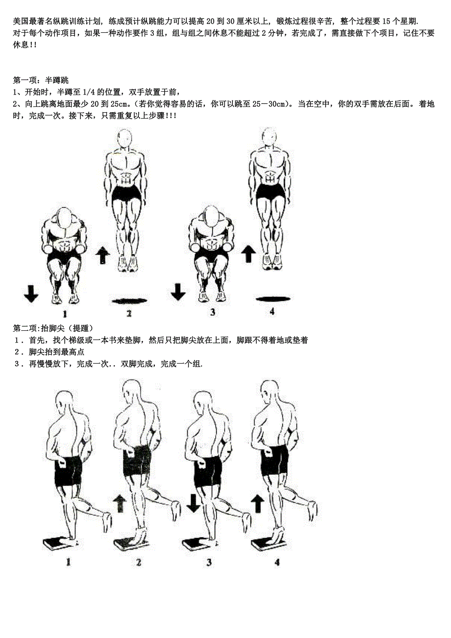 精编美国著名弹跳力训练附图计划表.doc_第1页