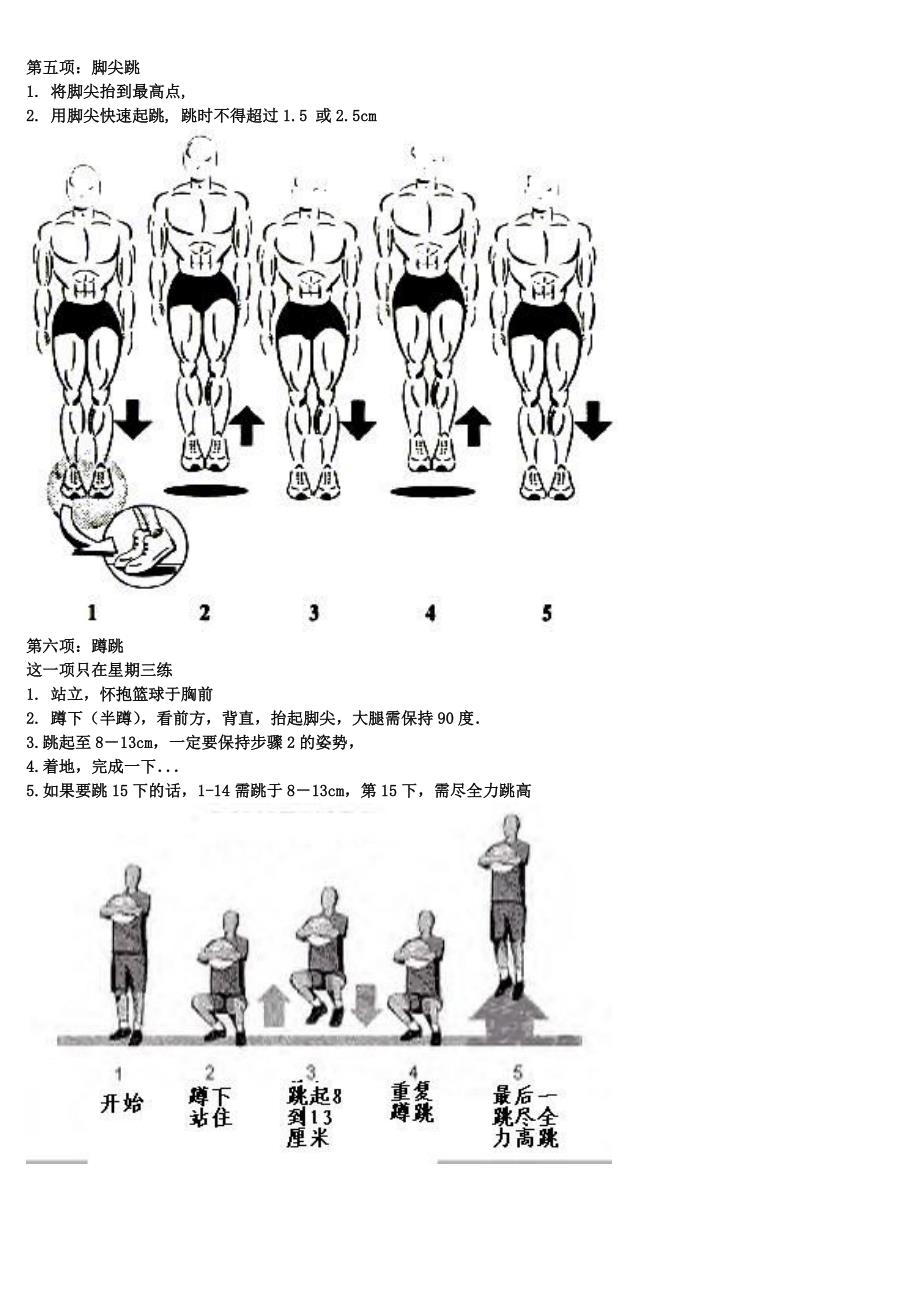 精编美国著名弹跳力训练附图计划表.doc_第3页