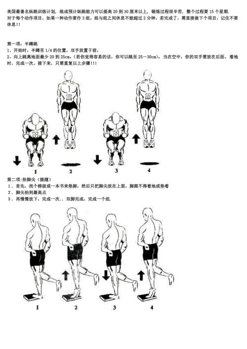 精编美国著名弹跳力训练附图计划表.doc