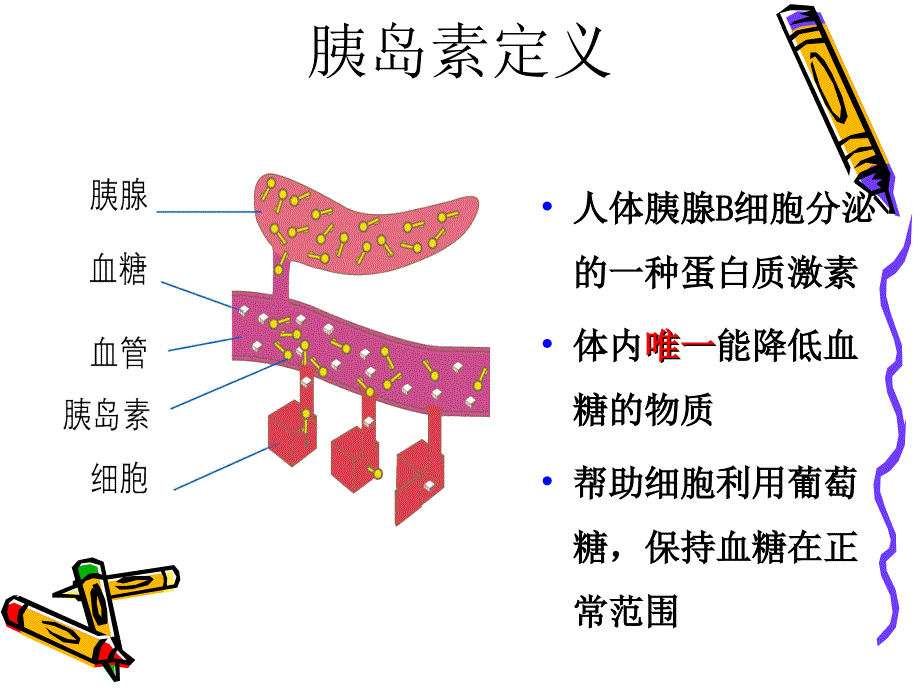 胰岛素的临床应用PPT课件.ppt_第3页
