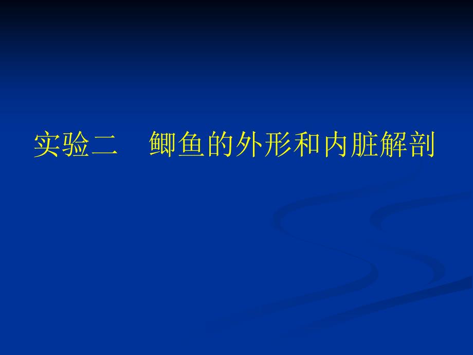 鲫鱼解剖参考.ppt_第1页