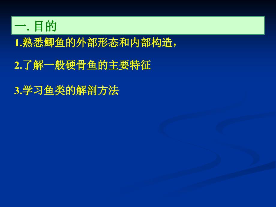 鲫鱼解剖参考.ppt_第2页
