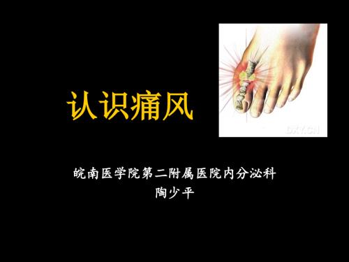 认识痛风病科普.ppt