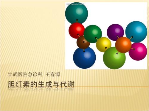 胆红素的生成代谢课件.ppt