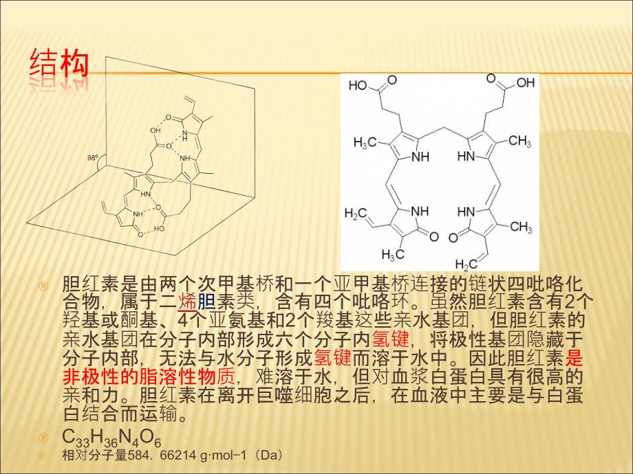胆红素的生成代谢课件.ppt_第3页