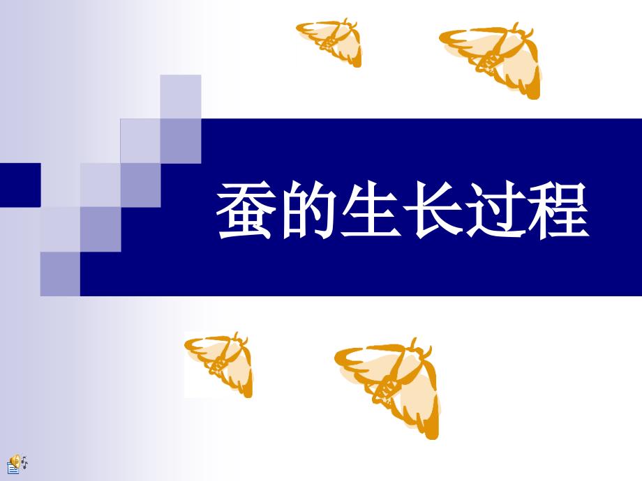 蚕的生长过程PPT课件.ppt_第1页