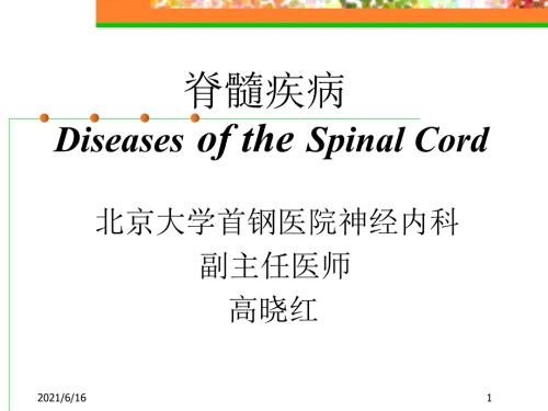脊髓炎PPT课件.ppt