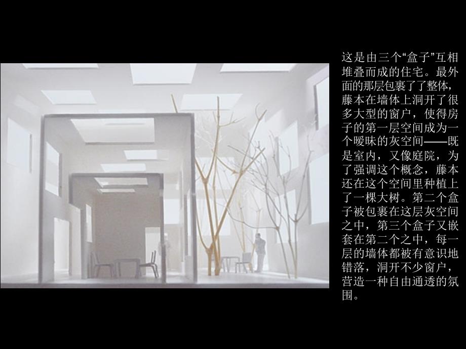 藤本壮介HouseN.ppt_第2页
