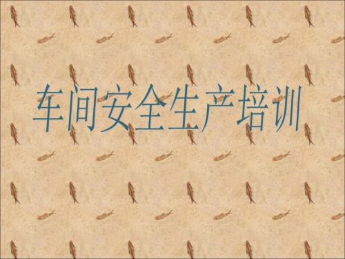 车间安全培训PPT课件.ppt