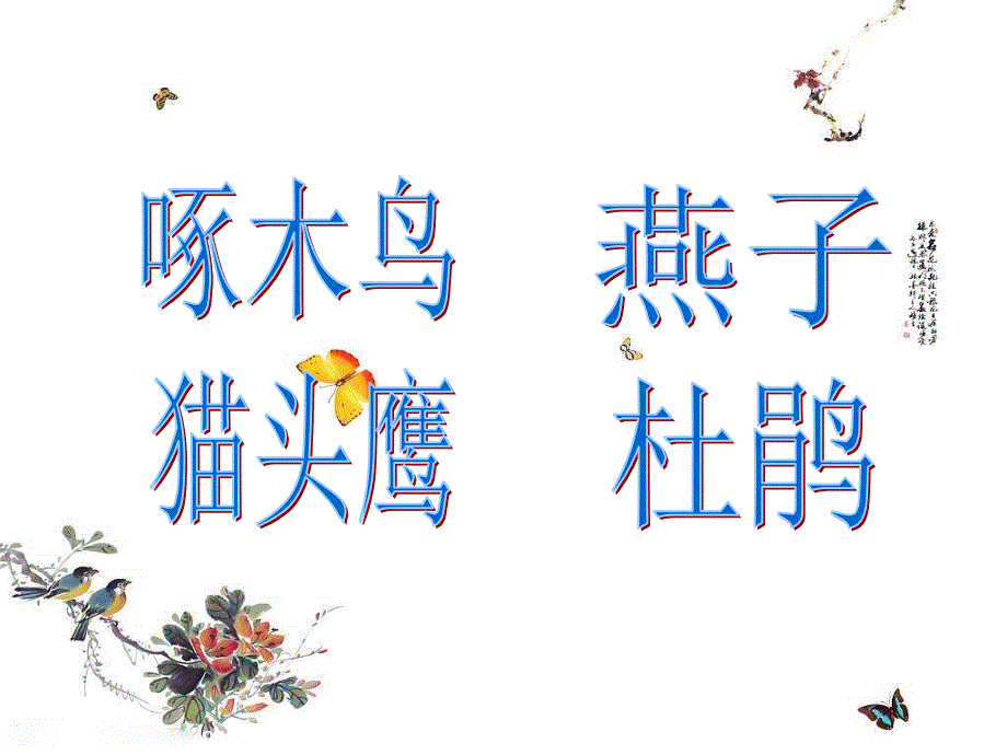 鸟儿是我们的好朋友.ppt_第3页