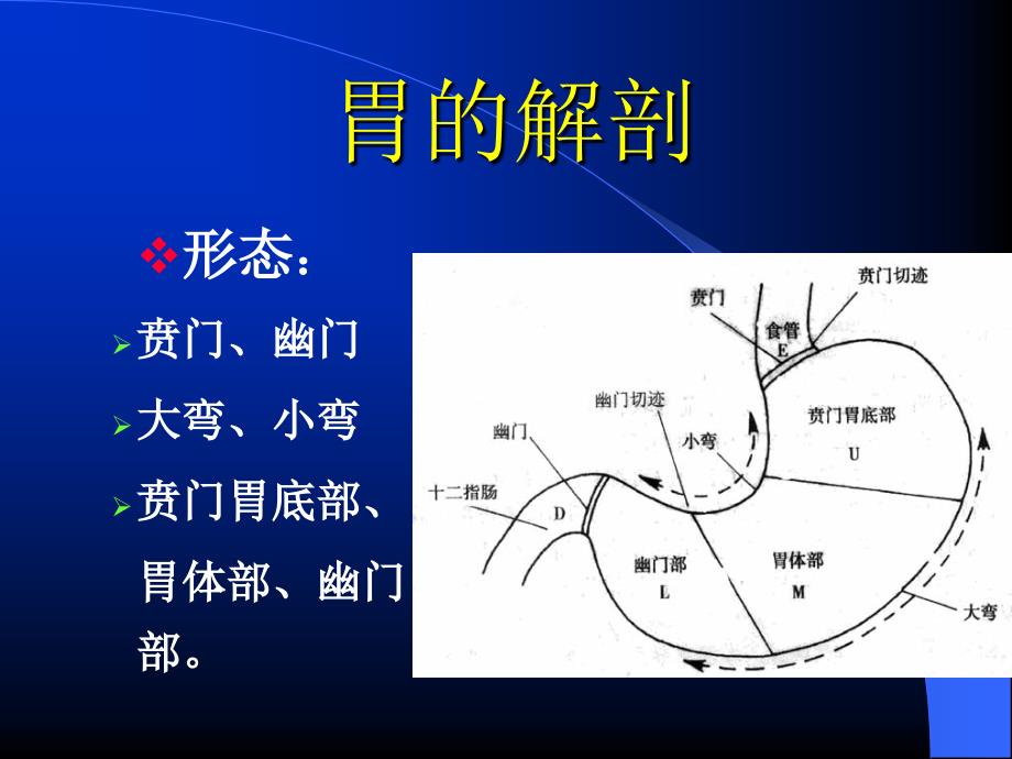 胃癌围手术期的护理ppt课件.ppt_第2页