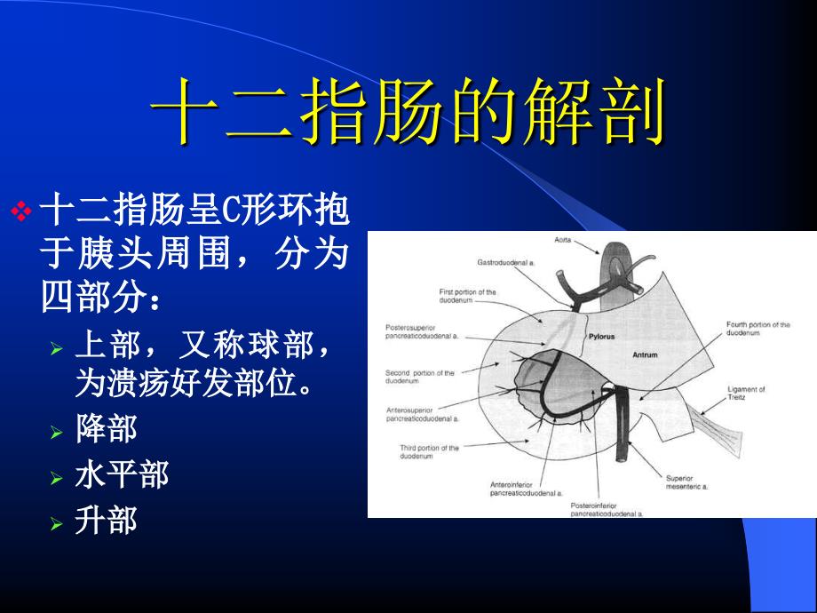 胃癌围手术期的护理ppt课件.ppt_第3页