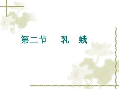 第二节乳蛾课件.ppt