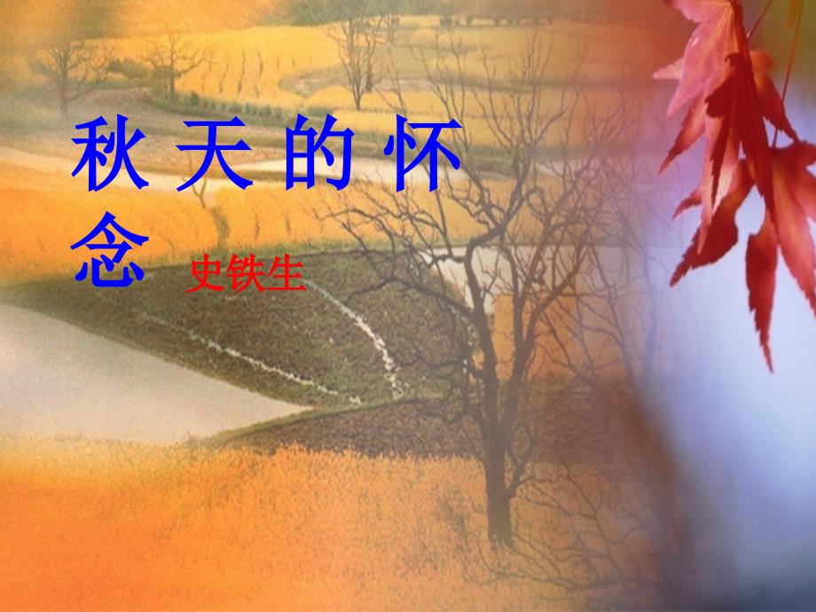 天的怀念参赛一等奖课件.ppt_第2页