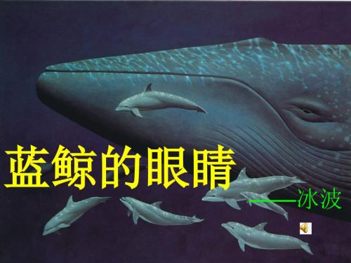 蓝鲸的眼睛xinPPT课件.ppt
