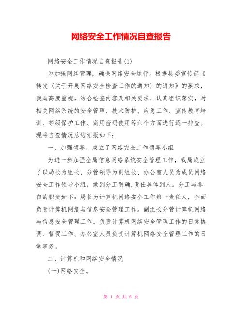 网络安全工作情况自查报告.doc
