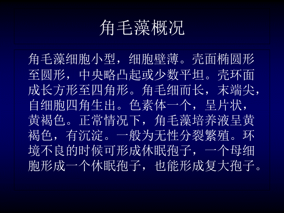 角毛藻工艺流程.ppt_第2页