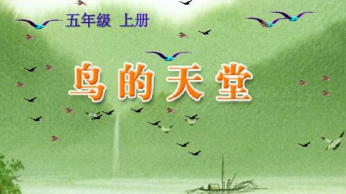 鸟的天堂说课稿课件.pptx