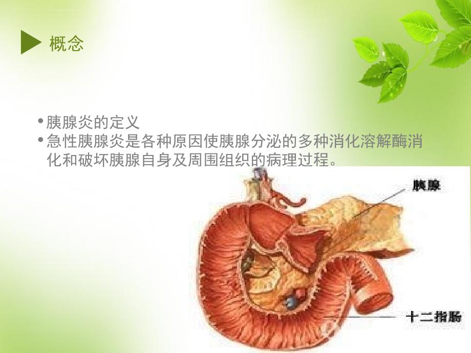 重症胰腺炎护理ppt课件.ppt_第2页