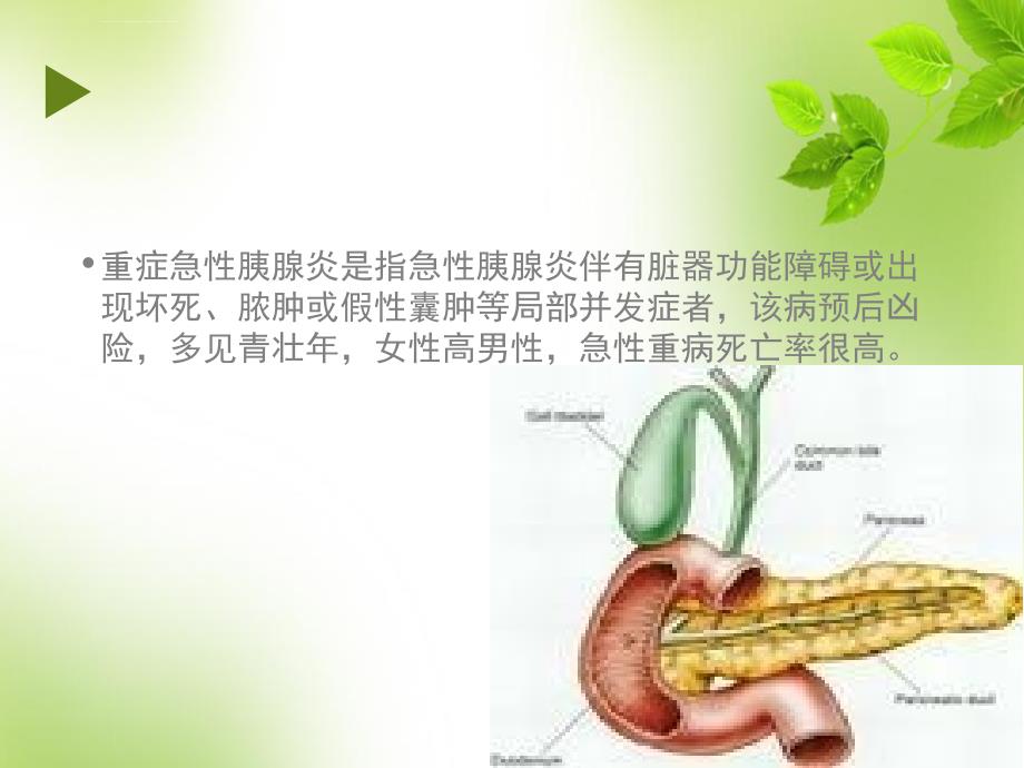 重症胰腺炎护理ppt课件.ppt_第3页