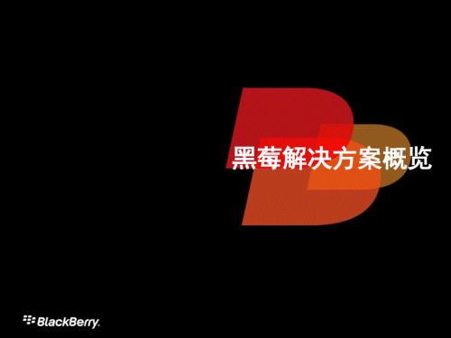 黑莓产品介绍技术.ppt