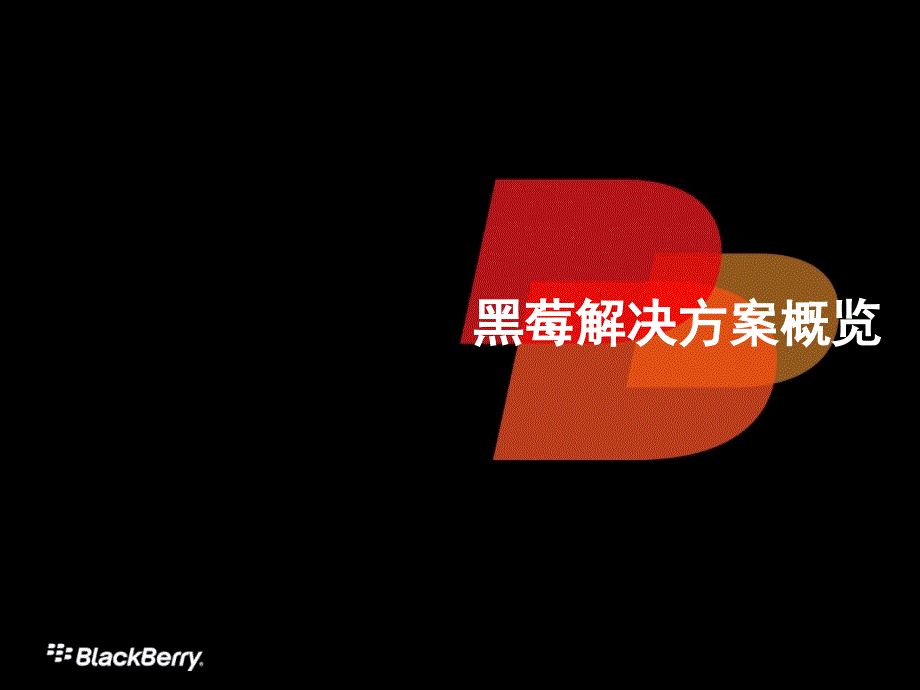 黑莓产品介绍技术.ppt_第1页