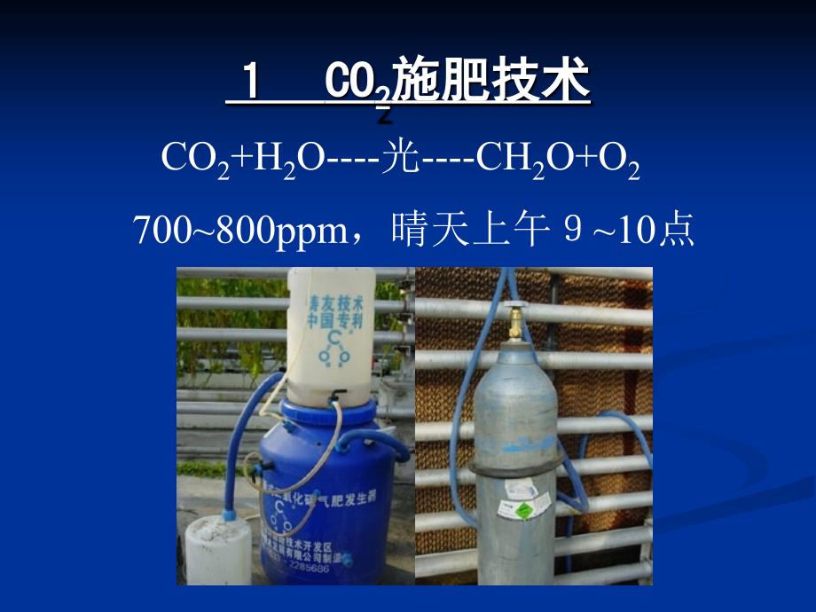 设施蔬菜栽培PPT课件.ppt_第3页